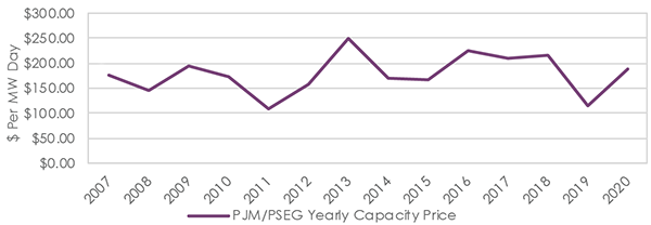 Pseg Organization Chart